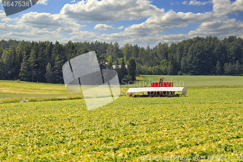 Image of Harvesting Cucumber with Cucumber Flyer