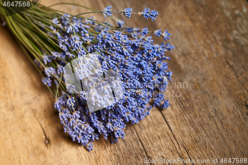 Image of A bunch of lavender flowers on on stone surface