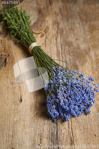 Image of A bunch of lavender flowers on on stone surface