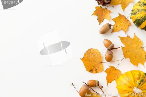 Image of autumn leaves, chestnuts, acorns and pumpkins