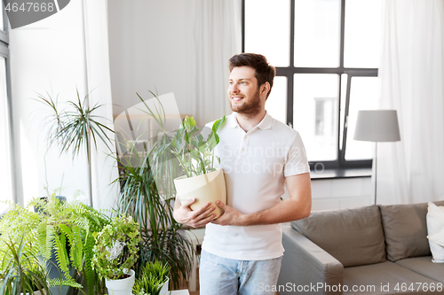 Image of man with flower taking care of houseplants at home