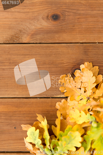 Image of oak leaves in autumn colors on wooden table