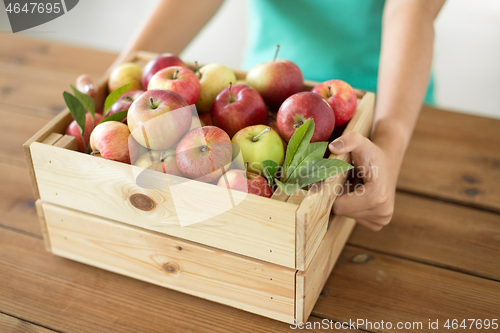 Image of woman with wooden box of ripe apples