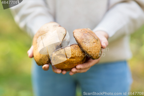 Image of close up of woman holding mushrooms in forest