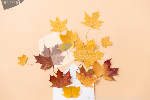 Image of autumn maple leaves with envelope on beige