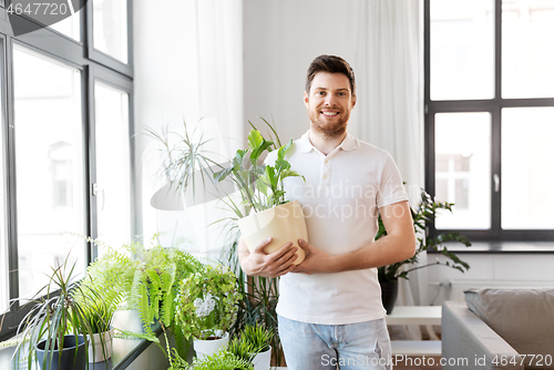 Image of man with flower taking care of houseplants at home