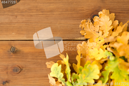 Image of oak leaves in autumn colors on wooden table