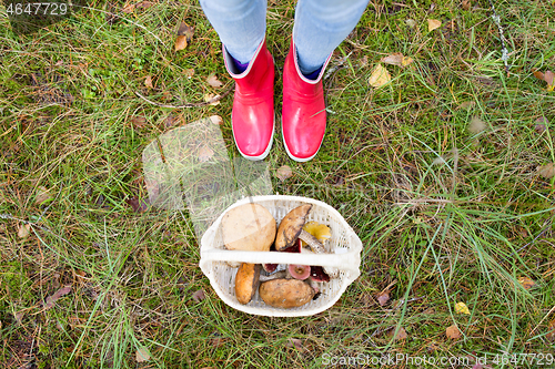 Image of basket of mushrooms and feet in gumboots in forest