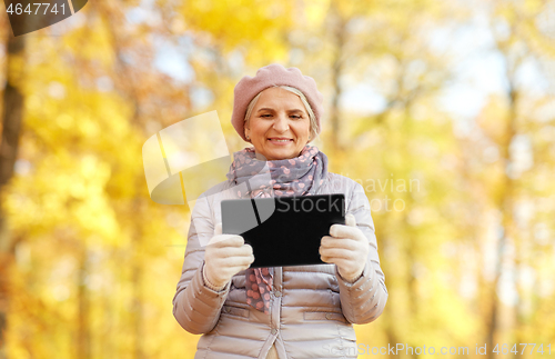 Image of senior woman with tablet pc at summer park