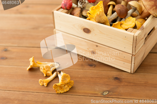 Image of wooden box of different edible mushrooms