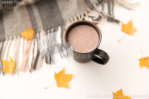 Image of hot chocolate, autumn leaves and warm blanket