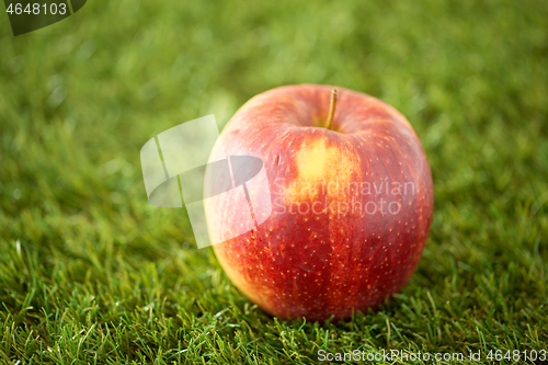 Image of close up of ripe red apple on artificial grass