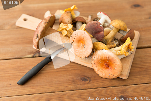 Image of edible mushrooms on wooden cutting board and knife