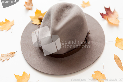 Image of hat and fallen autumn leaves on white background