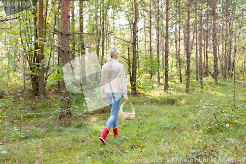 Image of young woman picking mushrooms in autumn forest