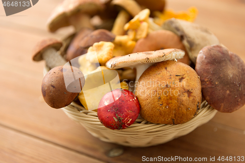 Image of basket of different edible mushrooms on wood