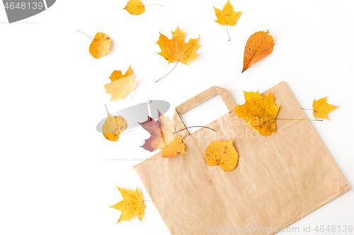 Image of autumn leaves and paper bag on white background