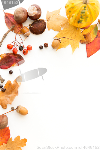 Image of autumn leaves, chestnuts, acorns and berries frame