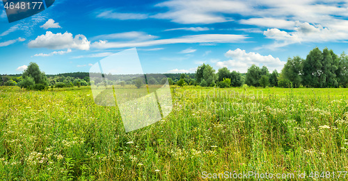 Image of Forest and field