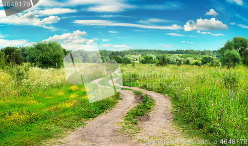 Image of Country road in field