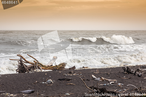 Image of jade beach Hokitika, New Zealand