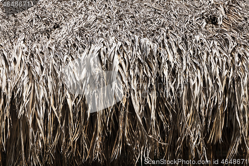 Image of Thatched roof texture