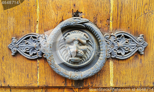 Image of Vintage wooden texture with decorative lion head and snake ring 