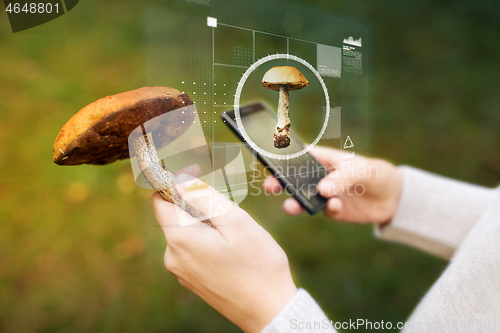 Image of woman using smartphone to identify mushroom