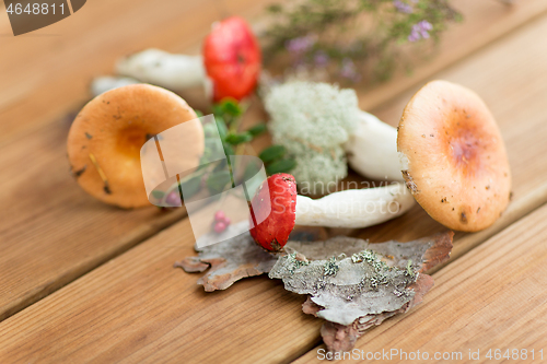 Image of russule mushrooms on wooden background