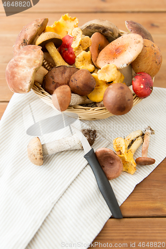 Image of basket of different edible mushrooms and knife