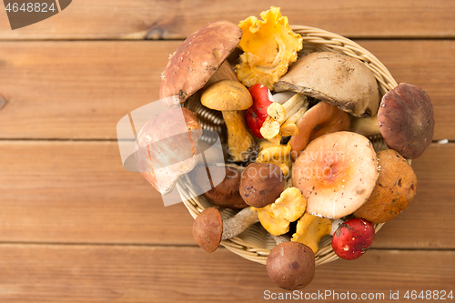 Image of basket of different edible mushrooms on wood