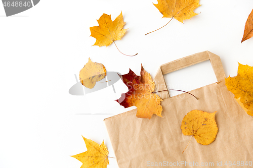 Image of autumn leaves and paper bag on white background