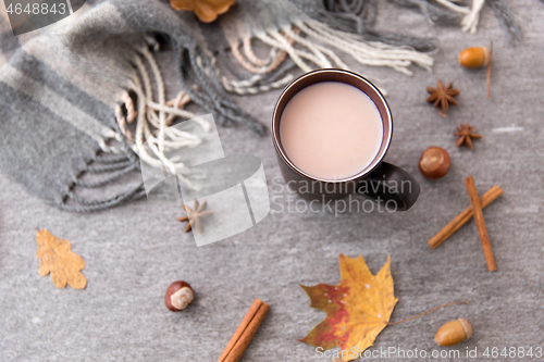 Image of hot chocolate, autumn leaves and warm blanket