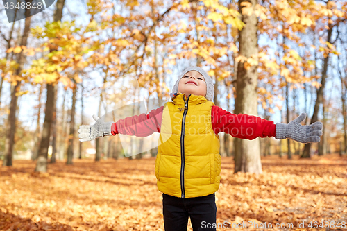 Image of happy little boy at autumn park