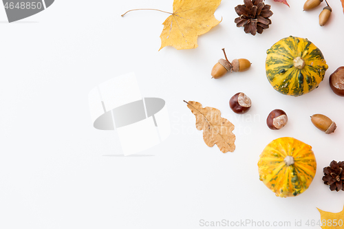 Image of autumn leaves, chestnuts, acorns and pumpkins