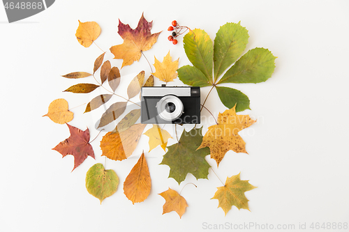 Image of film camera and autumn leaves on white background