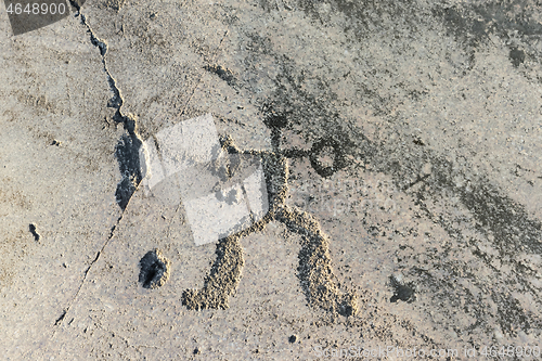 Image of Fragment Of Onega Petroglyphs On The Granite Coast