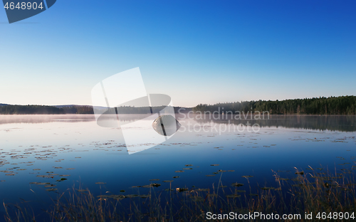 Image of Blue Morning Landscape Reflected In The Forest Lake