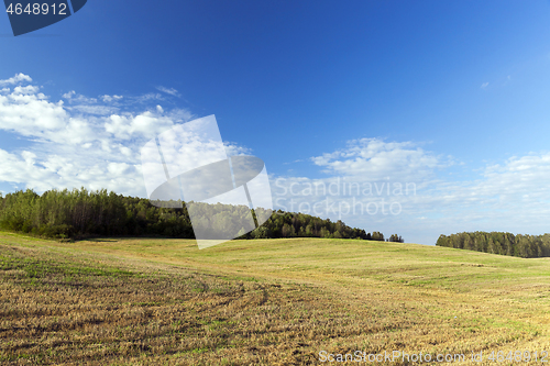 Image of Field of the harvest