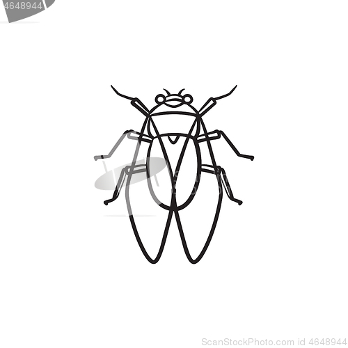 Image of Fly hand drawn sketch icon.