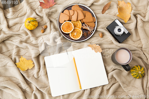 Image of notebook, hot chocolate, camera and autumn leaves