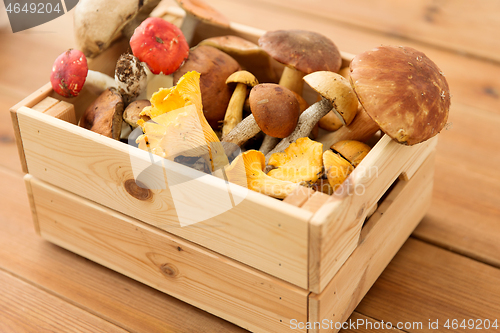 Image of wooden box of different edible mushrooms