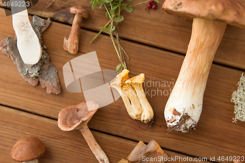 Image of different edible mushrooms on wooden background