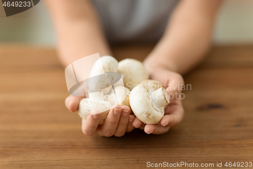 Image of close up of female hands holding champignons