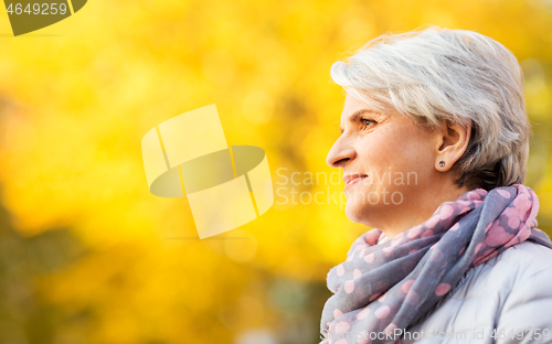 Image of portrait of happy senior woman at autumn park