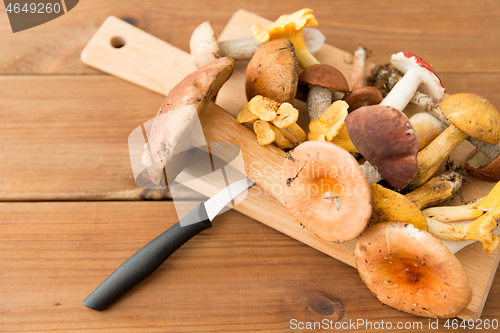 Image of edible mushrooms on wooden cutting board and knife