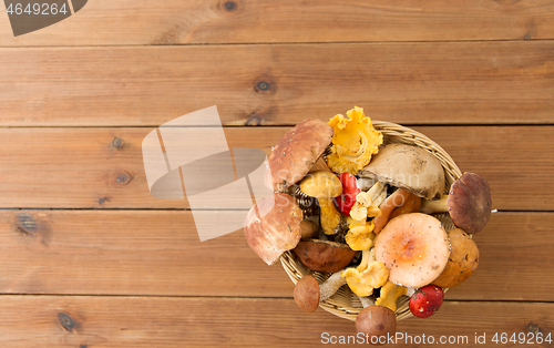 Image of basket of different edible mushrooms on wood