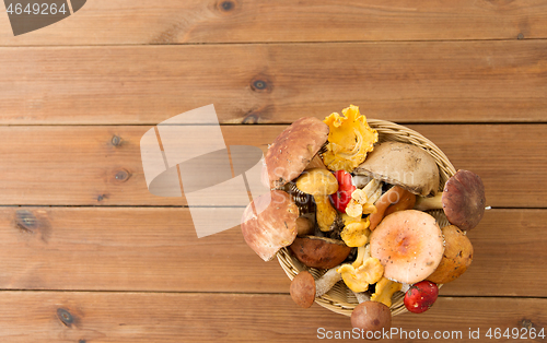 Image of basket of different edible mushrooms on wood