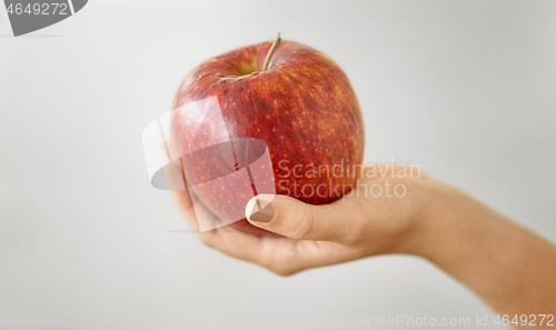 Image of close up of hands holding ripe red apple