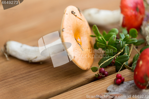 Image of russule mushrooms and cowberry on wood